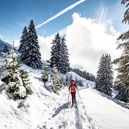 For 4 People With Parking Châtel