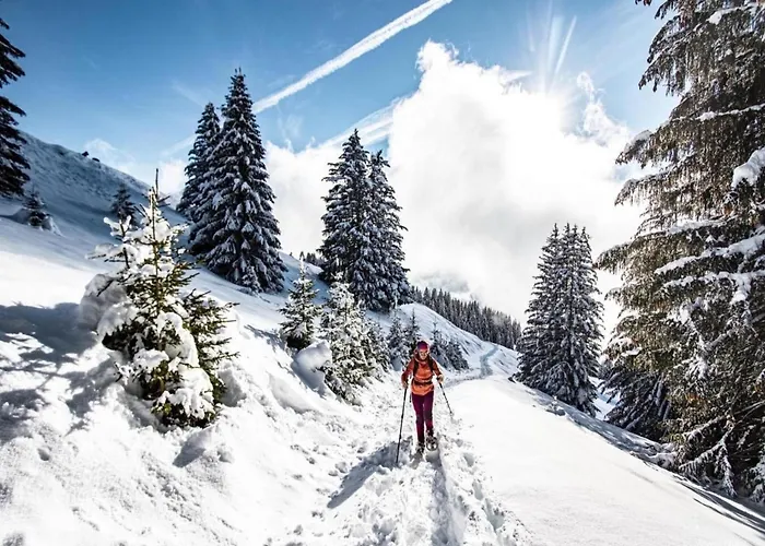 For 4 People With Parking Châtel